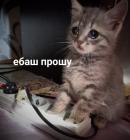 Прикрепленное изображение: IMG_20191101_150324_479.jpg