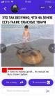 Прикрепленное изображение: wcPoCpIhuBU.jpg