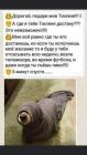 Прикрепленное изображение: EJ9lqR8W4AAr7cy.jpg