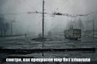 Прикрепленное изображение: 75233600_2362291067209048_1353057480132788224_n.jpg