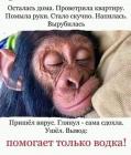 Прикрепленное изображение: 1605854476.jpg