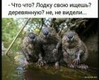 Прикрепленное изображение: 1604644226.jpg