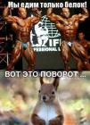 Прикрепленное изображение: 1606059474.jpg