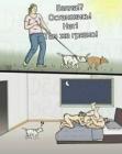 Прикрепленное изображение: IMG_20201117_134630_364.jpg