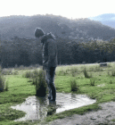 Прикрепленное изображение: осеннее.gif