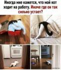Прикрепленное изображение: 1635840526.jpg