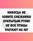 Прикрепленное изображение: 255726859_273115234750943_3111924656811605117_n.jpg