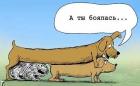 Прикрепленное изображение: 4.jpg