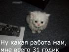 Прикрепленное изображение: 16375094155450.jpg