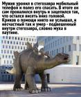 Прикрепленное изображение: Стегозавр 2.jpg