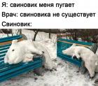 Прикрепленное изображение: Свиновик.jpg