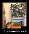 Прикрепленное изображение: 1668227800.jpg
