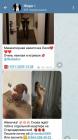 Прикрепленное изображение: IMG_20221130_225310.jpg