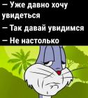 Прикрепленное изображение: Давно хочу увидеться.jpg