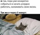 Прикрепленное изображение: Пора собраться.jpg