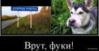 Прикрепленное изображение: 1698920176.jpg