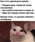 Прикрепленное изображение: Идеальный муж.jpg