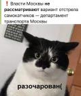 Прикрепленное изображение: Отстрел самокатчиков.jpg