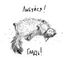 Прикрепленное изображение: wQnXC4WKB6c.jpg