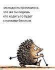 Прикрепленное изображение: 464152102_8485781681543472_2285206873351265465_n.jpg