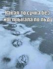 Прикрепленное изображение: 466123979_2740530136125388_8110660782355480972_n.jpg