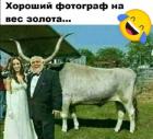 Прикрепленное изображение: Хороший фотограф.jpg