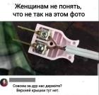Прикрепленное изображение: 1762117198.jpg