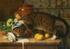 Прикрепленное изображение: 1565072d7428a2419bcce33553bc24cd.jpg