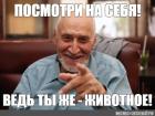 Прикрепленное изображение: 807e497b333ee29575e4d402f341afed.jpg