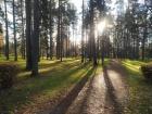 Прикрепленное изображение: IMG-20251107-WA0009.jpg