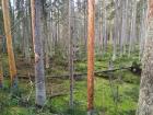 Прикрепленное изображение: IMG-20251107-WA0007.jpg