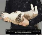 Прикрепленное изображение: 03.jpg
