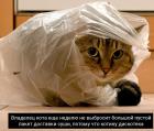 Прикрепленное изображение: 06.jpg