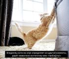 Прикрепленное изображение: 02.jpg