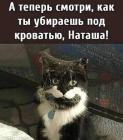 Прикрепленное изображение: Котик из-под кровати.jpg