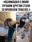 Прикрепленное изображение: Обнимашки с лучшим другом.jpg