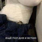 Прикрепленное изображение: еще полдня.jpg
