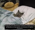 Прикрепленное изображение: 08.jpg