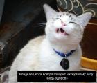 Прикрепленное изображение: 04.jpg