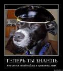 Прикрепленное изображение: x_22392efb.jpg