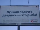 Прикрепленное изображение: image.jpg