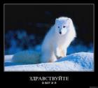 Прикрепленное изображение: 20740325702354.jpg