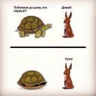 Прикрепленное изображение: image.jpg