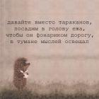 Прикрепленное изображение: dwx7Oko22H0.jpg