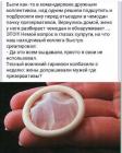 Прикрепленное изображение: IMG-0007.jpg