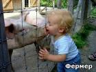 Прикрепленное изображение: image.jpeg
