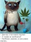 Прикрепленное изображение: m8JqW0dTya8.jpg