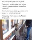 Прикрепленное изображение: kPMymfj0Gak.jpg