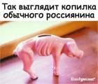 Прикрепленное изображение: 1576357378.jpg