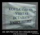 Прикрепленное изображение: 1575304948.jpg
